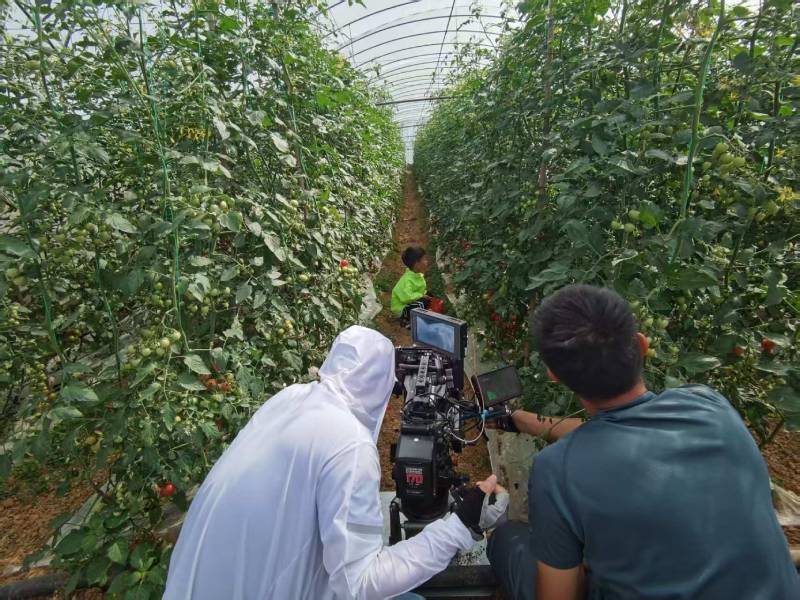 昆明产品宣传视频拍摄公司进阶指南，助力品牌抢占传播高地